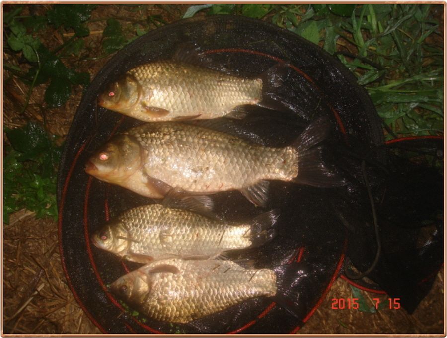 ²Ù¹Ì±â_²Ù¹Ì±â_»çÁø 026.jpg