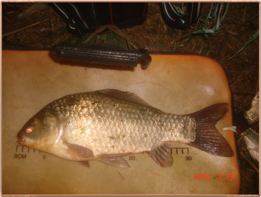 ²Ù¹Ì±â_²Ù¹Ì±â_»çÁø 025.jpg