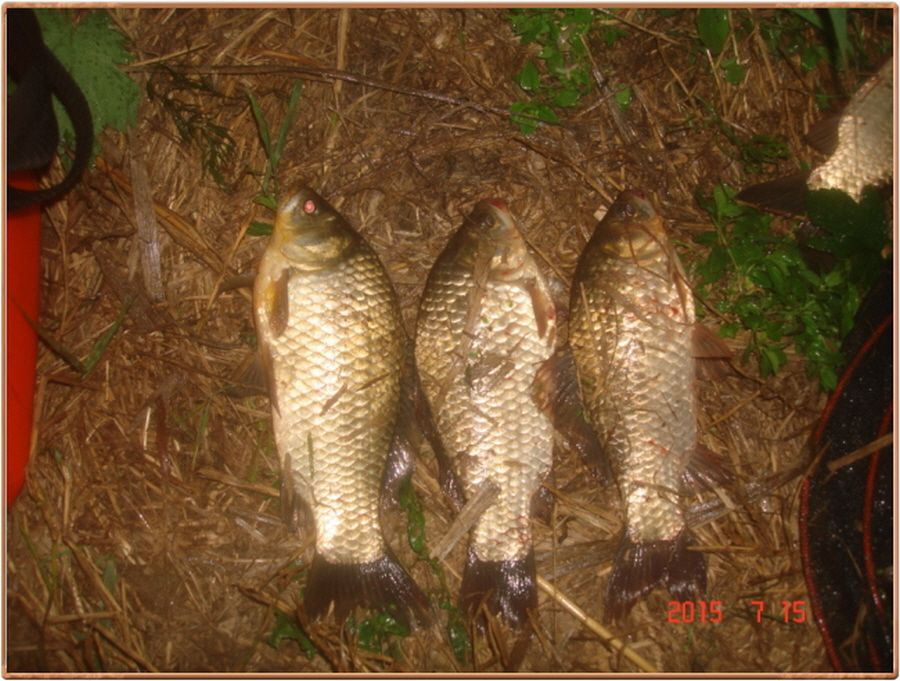 ²Ù¹Ì±â_²Ù¹Ì±â_»çÁø 029.jpg