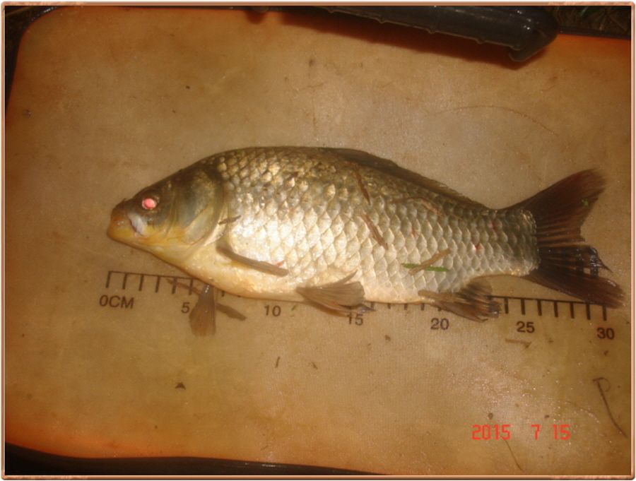 ²Ù¹Ì±â_²Ù¹Ì±â_»çÁø 028.jpg