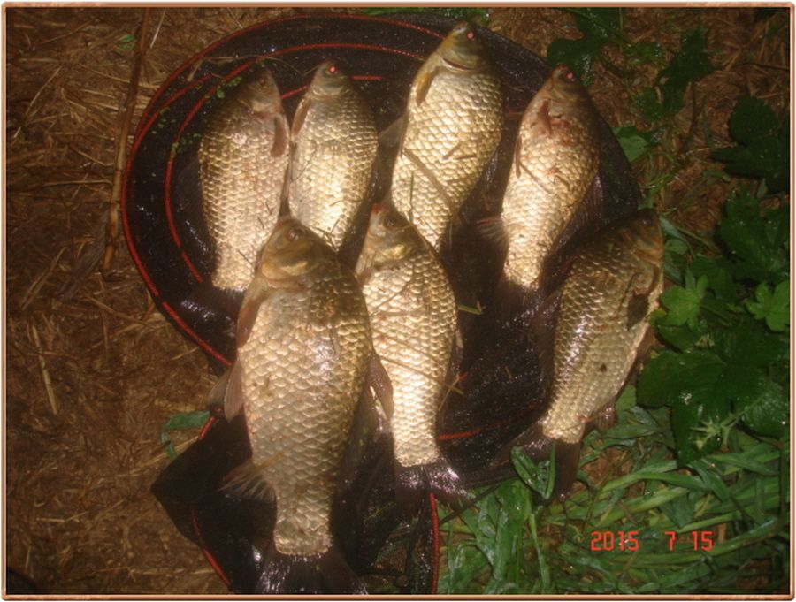 ²Ù¹Ì±â_²Ù¹Ì±â_»çÁø 032.jpg