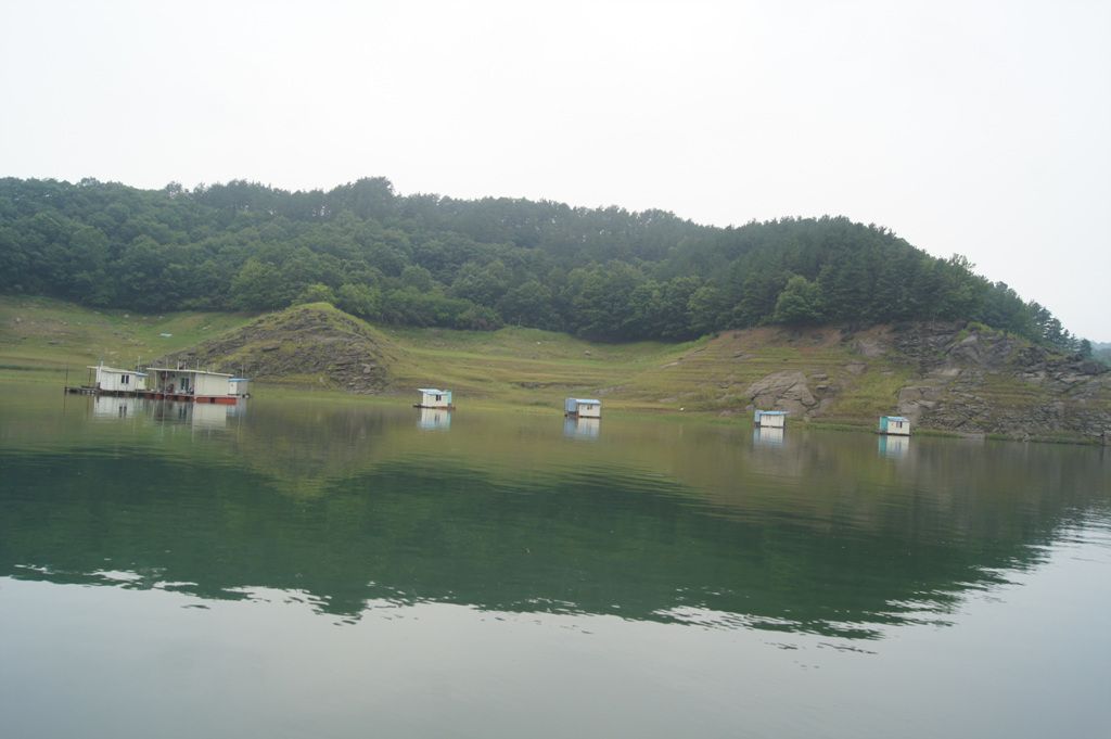 DSC03957.jpg