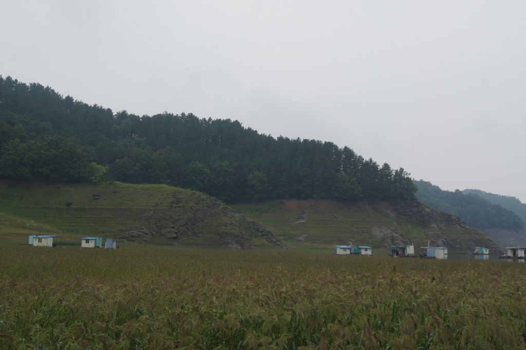 DSC03956.jpg