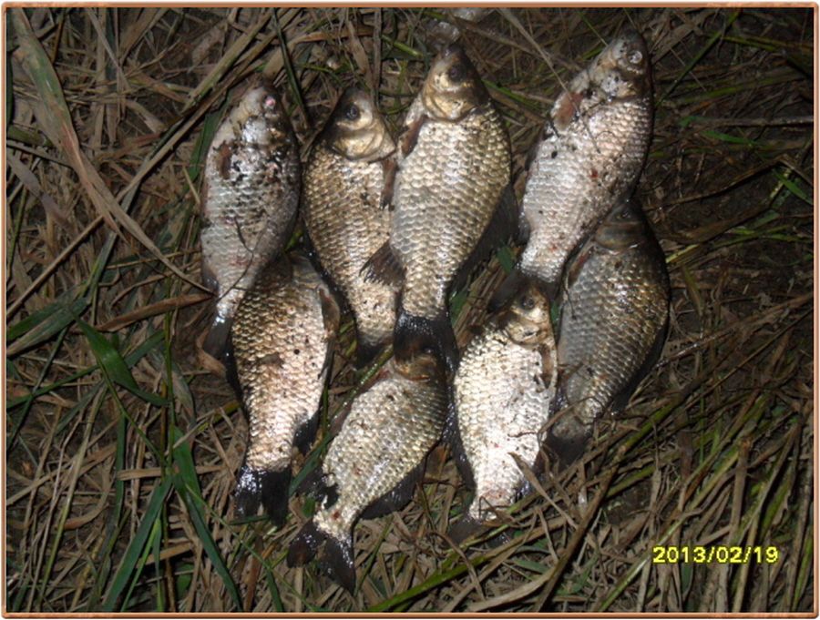 �ٹ̱�_���� 015.jpg