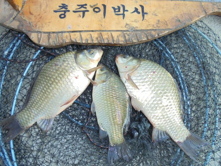 ũ�⺯ȯ_019.JPG