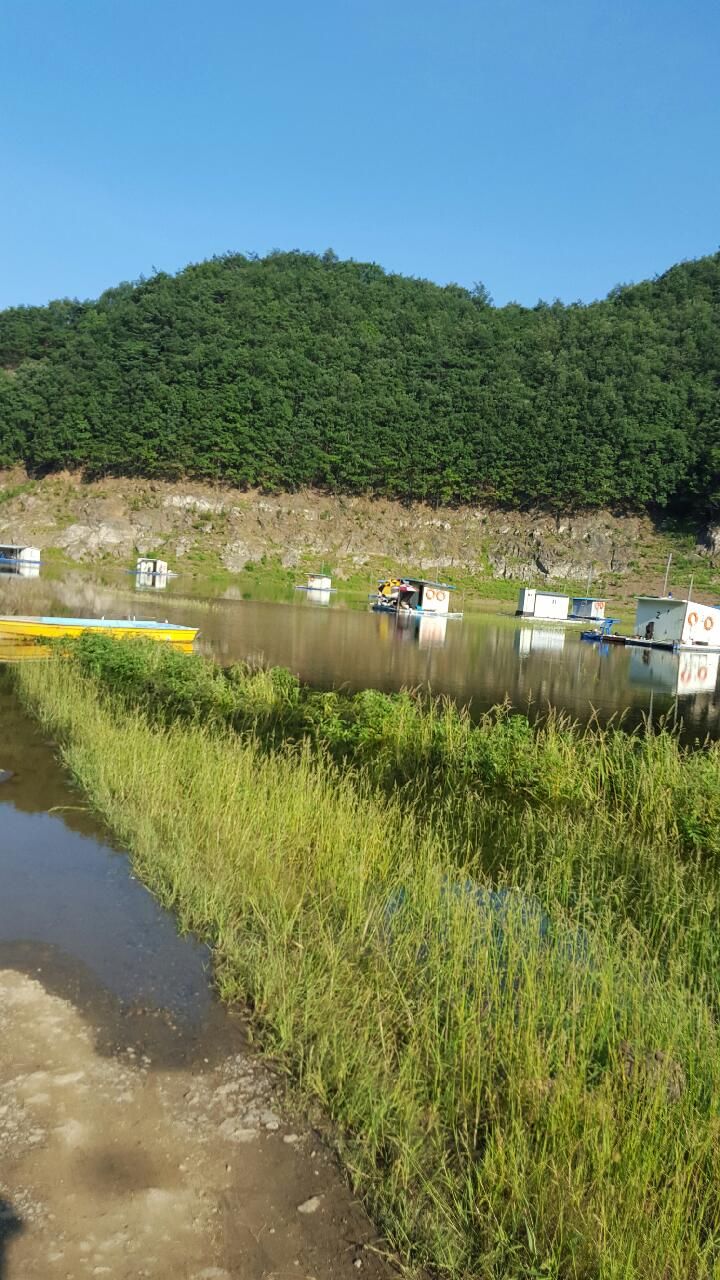 20150804_075842.jpeg