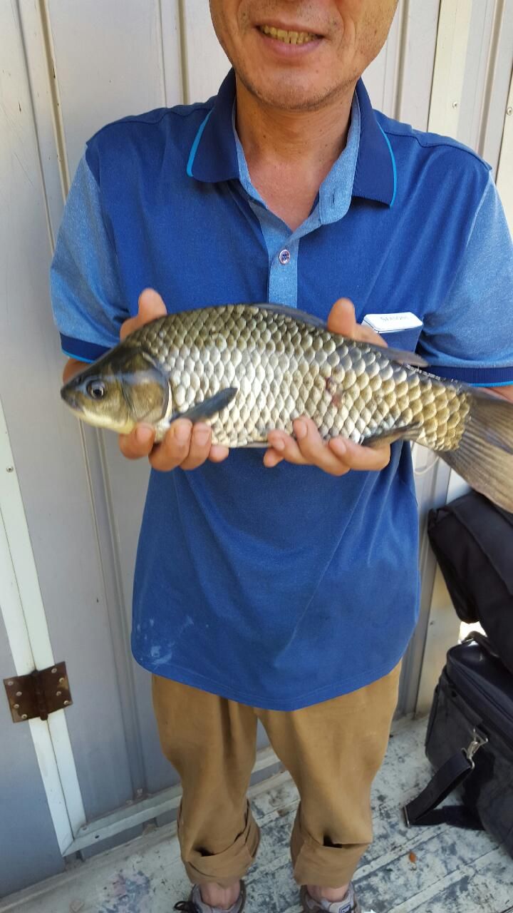20150804_073344.jpeg