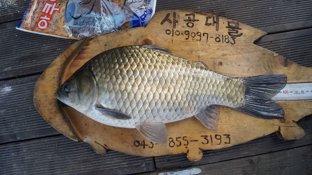 DSC04235.jpg