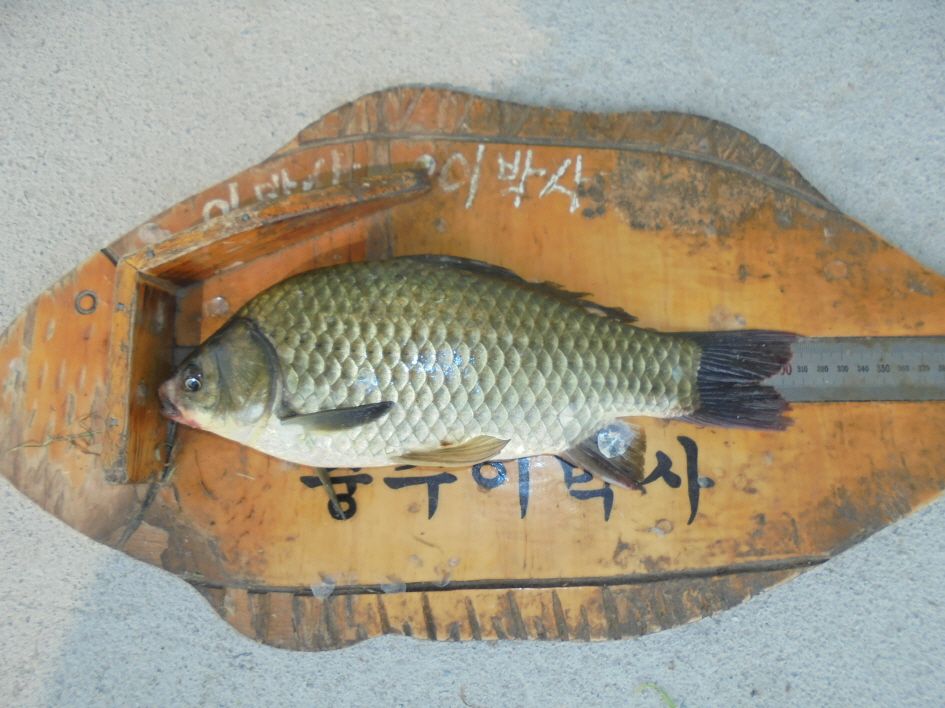 ũ�⺯ȯ_025.JPG