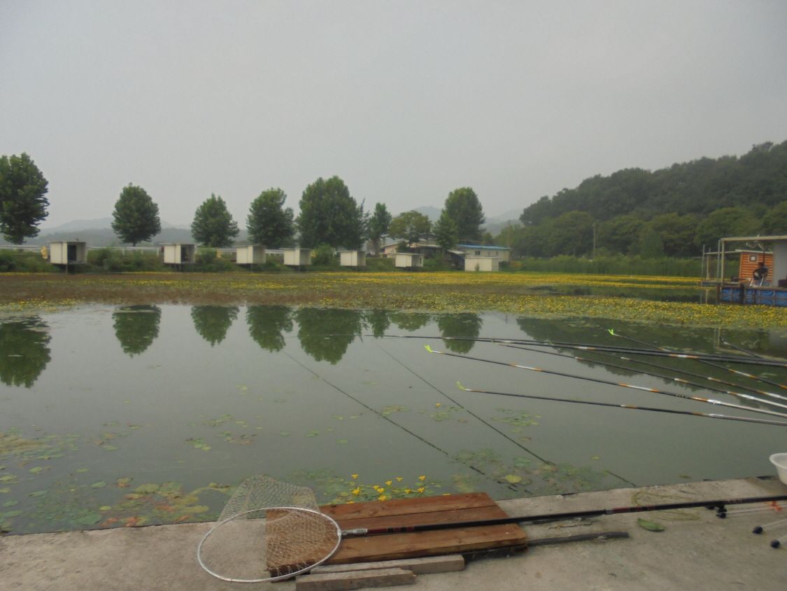 ũ�⺯ȯ_017.JPG