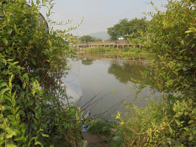 ũ�⺯ȯ_015.JPG