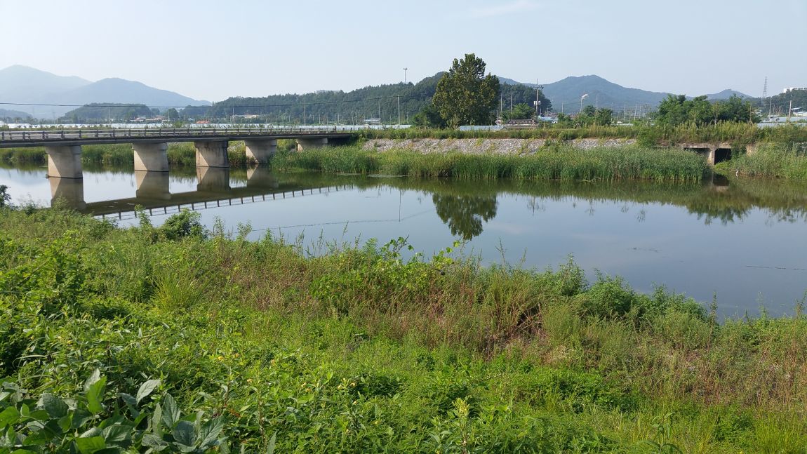 20150823_155001.jpg