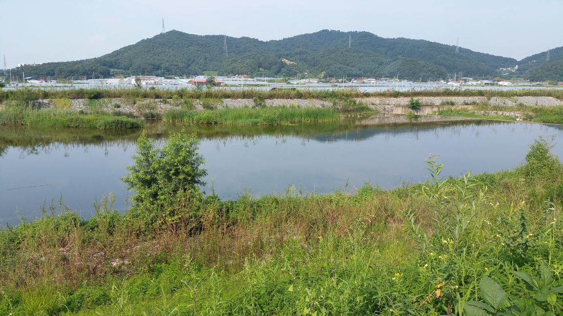 20150823_155004.jpg