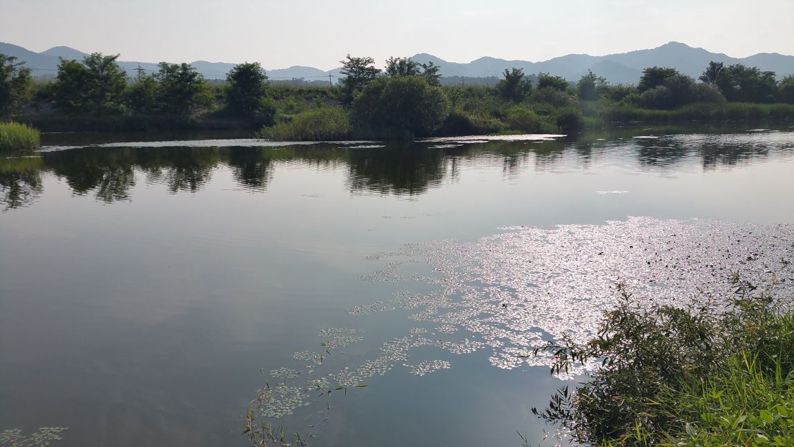 20150823_162141.jpg