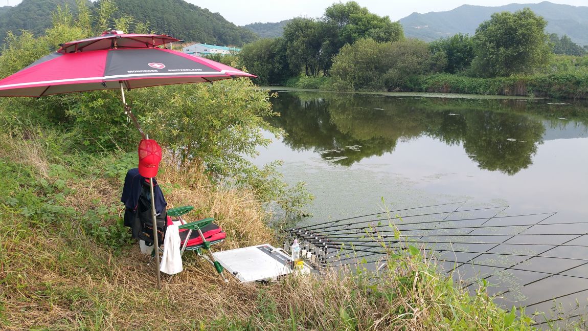 20150823_174235.jpg