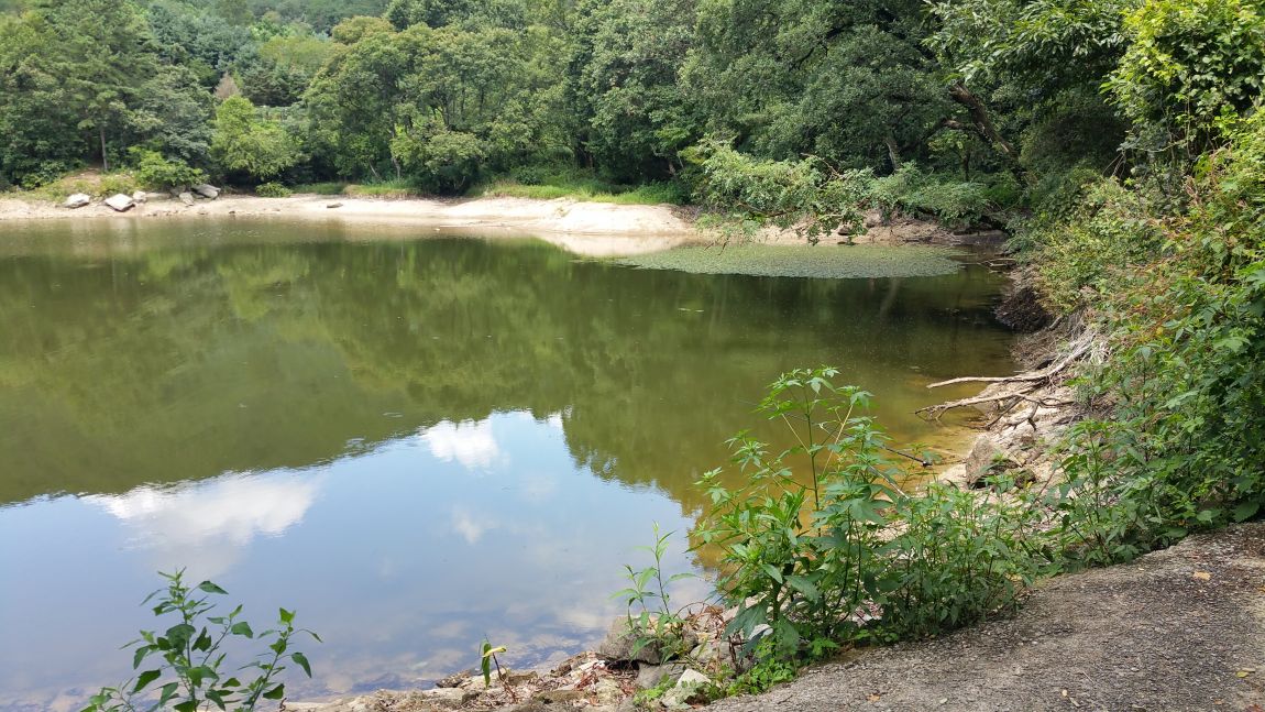 20150826_131610.jpg