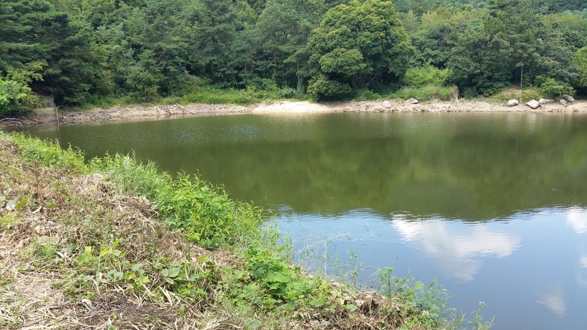 20150826_131705.jpg