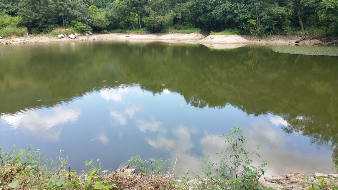 20150826_131709.jpg