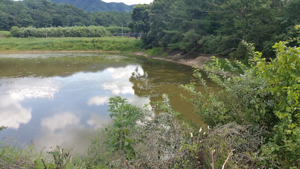 20150826_135805.jpg