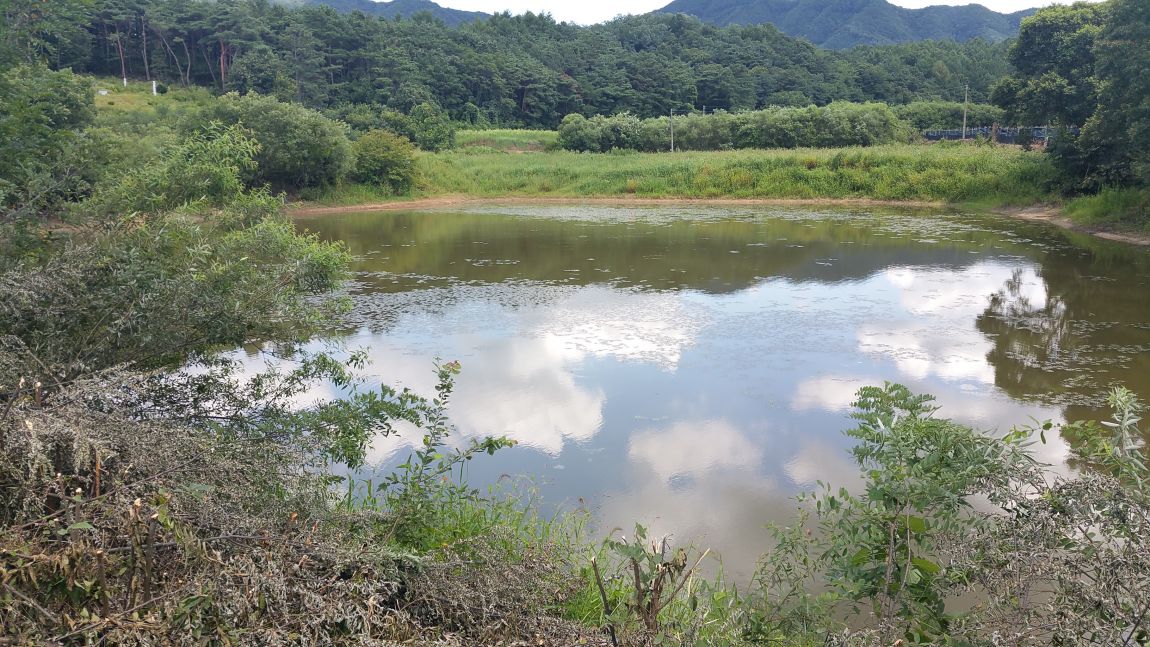 20150826_135809.jpg