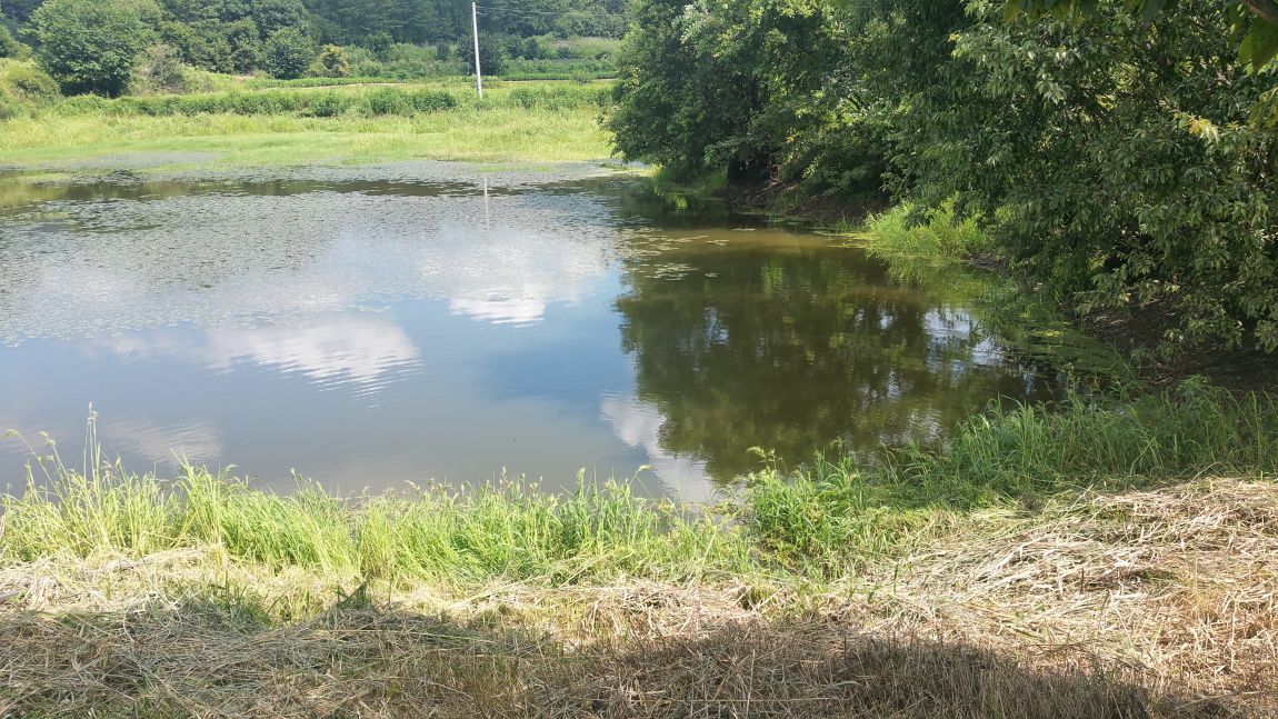 20150826_140349.jpg