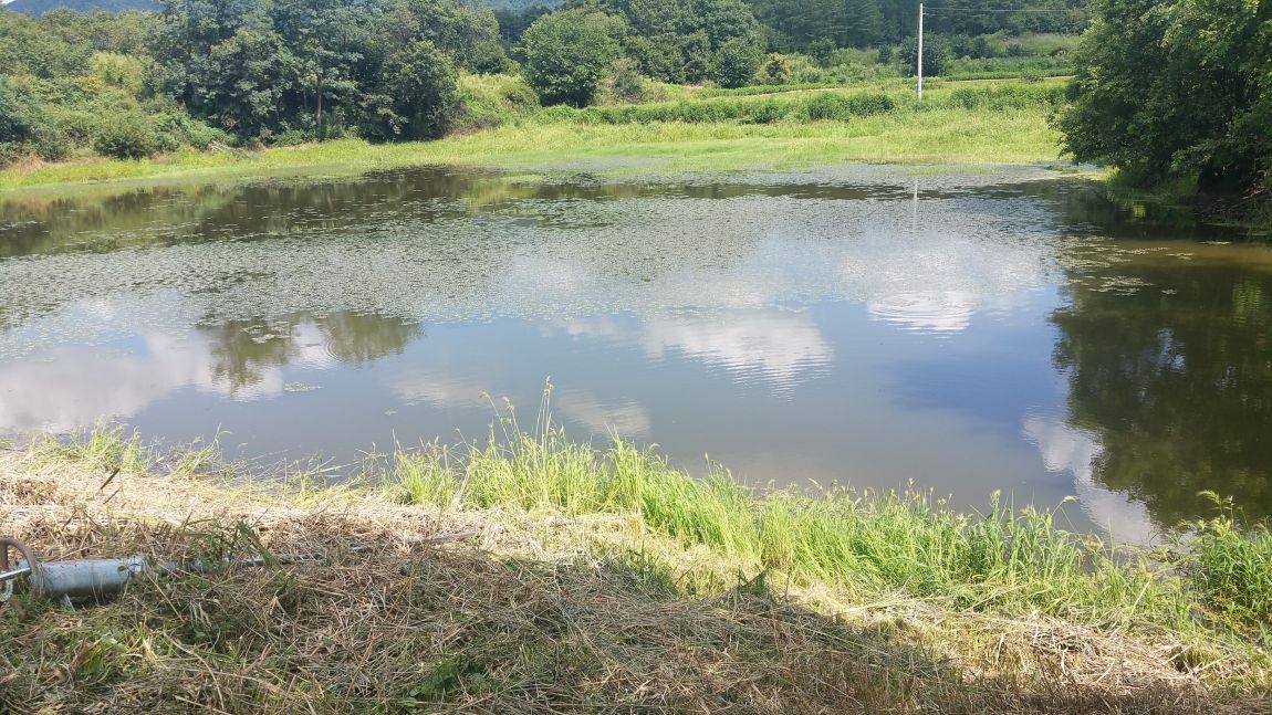 20150826_140352.jpg