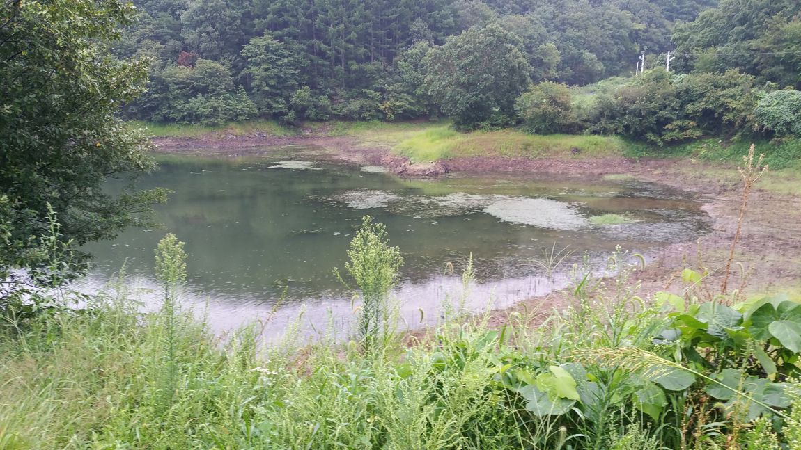 20150902_150447.jpg