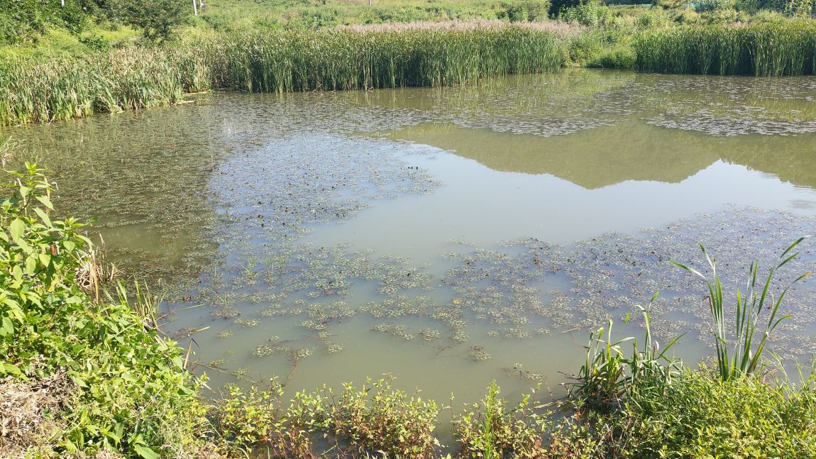 20150910_093456.jpg