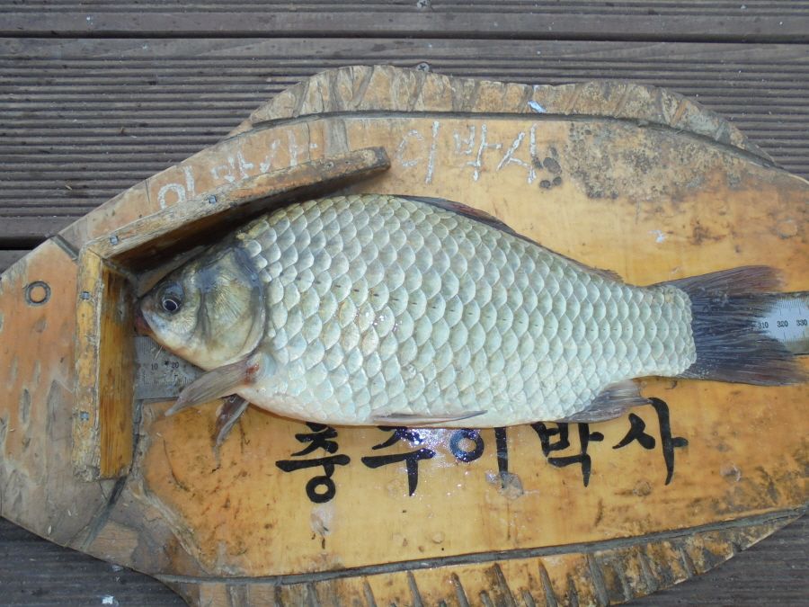 ũ�⺯ȯ_039.JPG