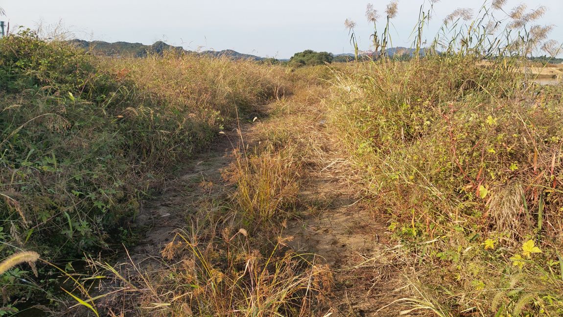 20151004_160259.jpg