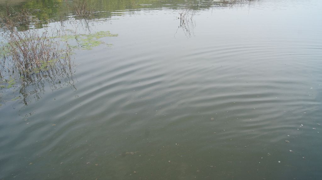 DSC04570.jpg