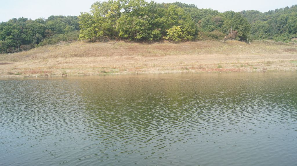 DSC04575.jpg