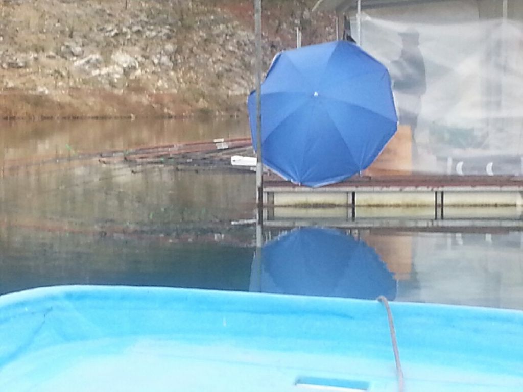 20151010_101202.jpg