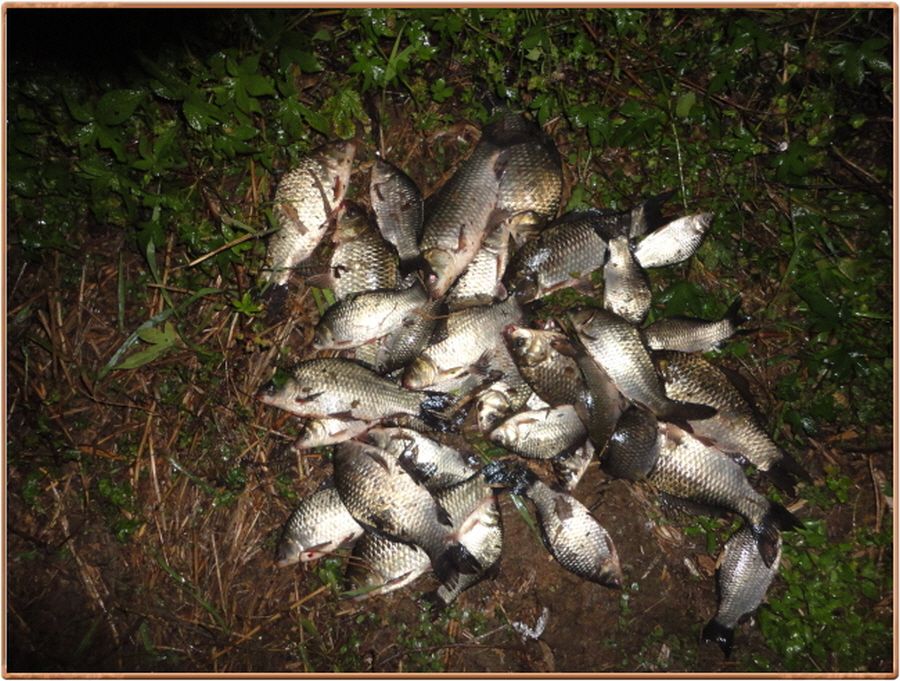 �ٹ̱�_���� 013.jpg