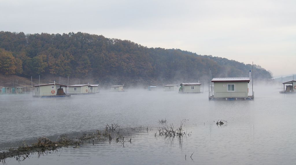 DSC04804.jpg
