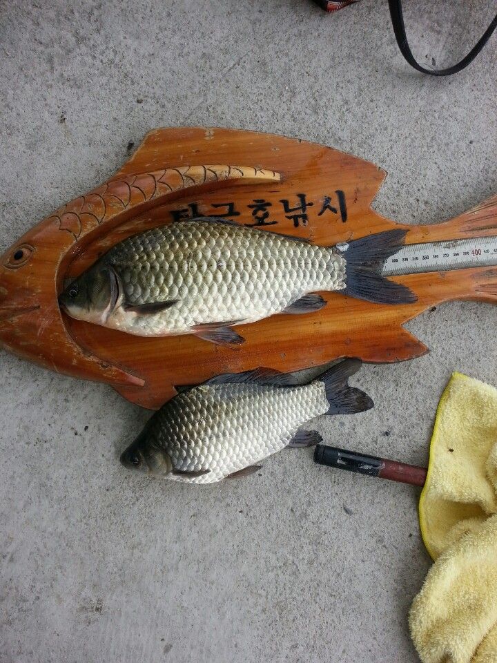 KakaoTalk_20151104_124848198.jpg