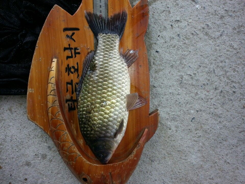 KakaoTalk_20151104_125101025.jpg