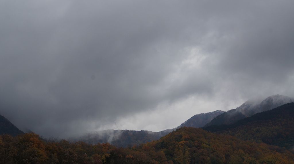 DSC04863.jpg