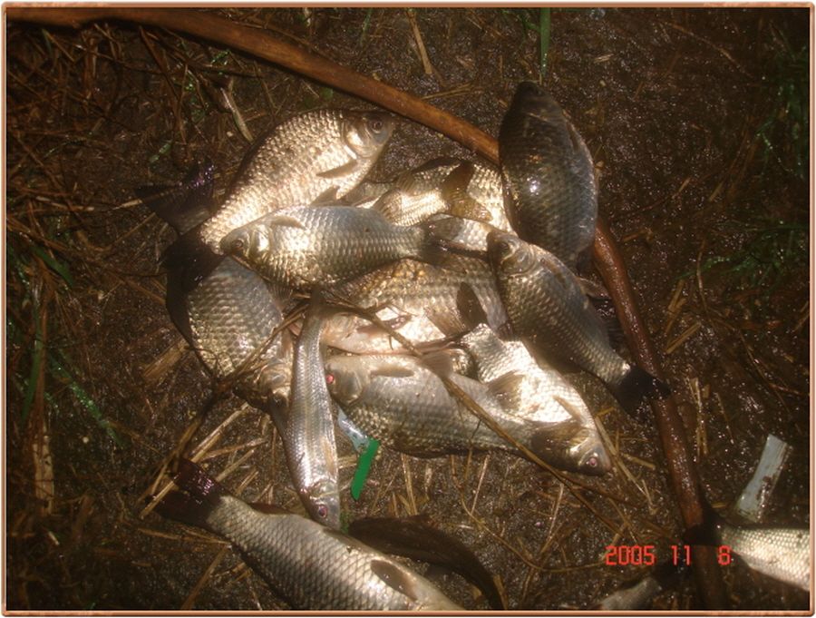 �ٹ̱�_���� 031.jpg