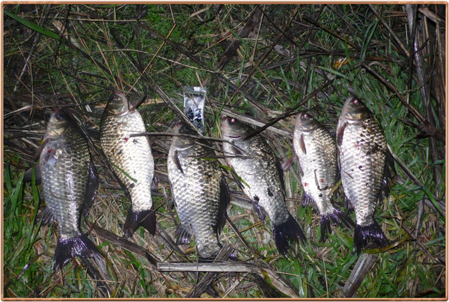 �ٹ̱�_���� 028.jpg