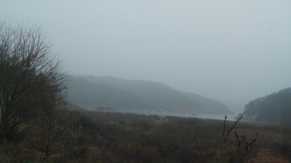 DSC04886.jpg