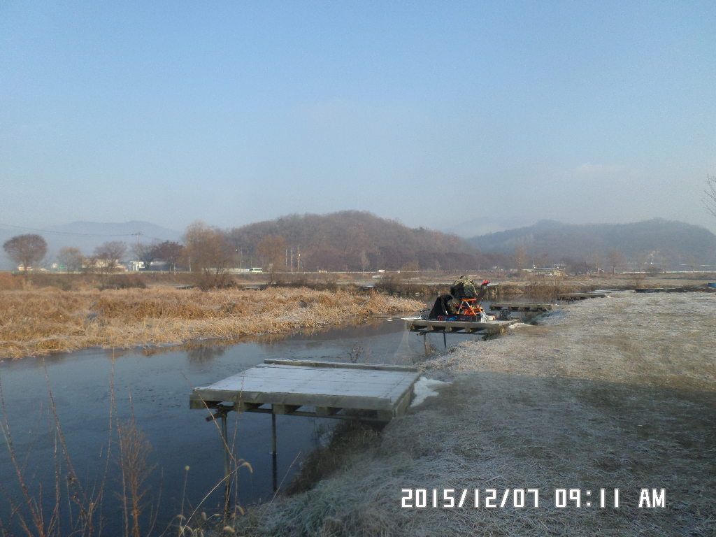 SAM_2314.JPG