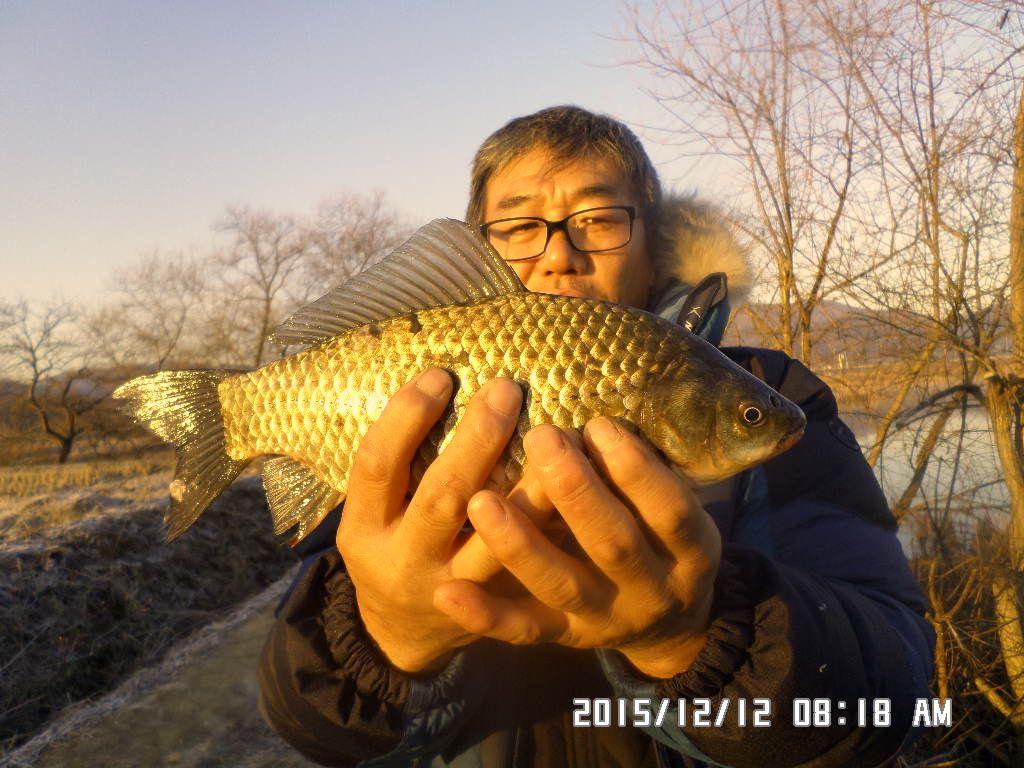 SAM_2364.JPG