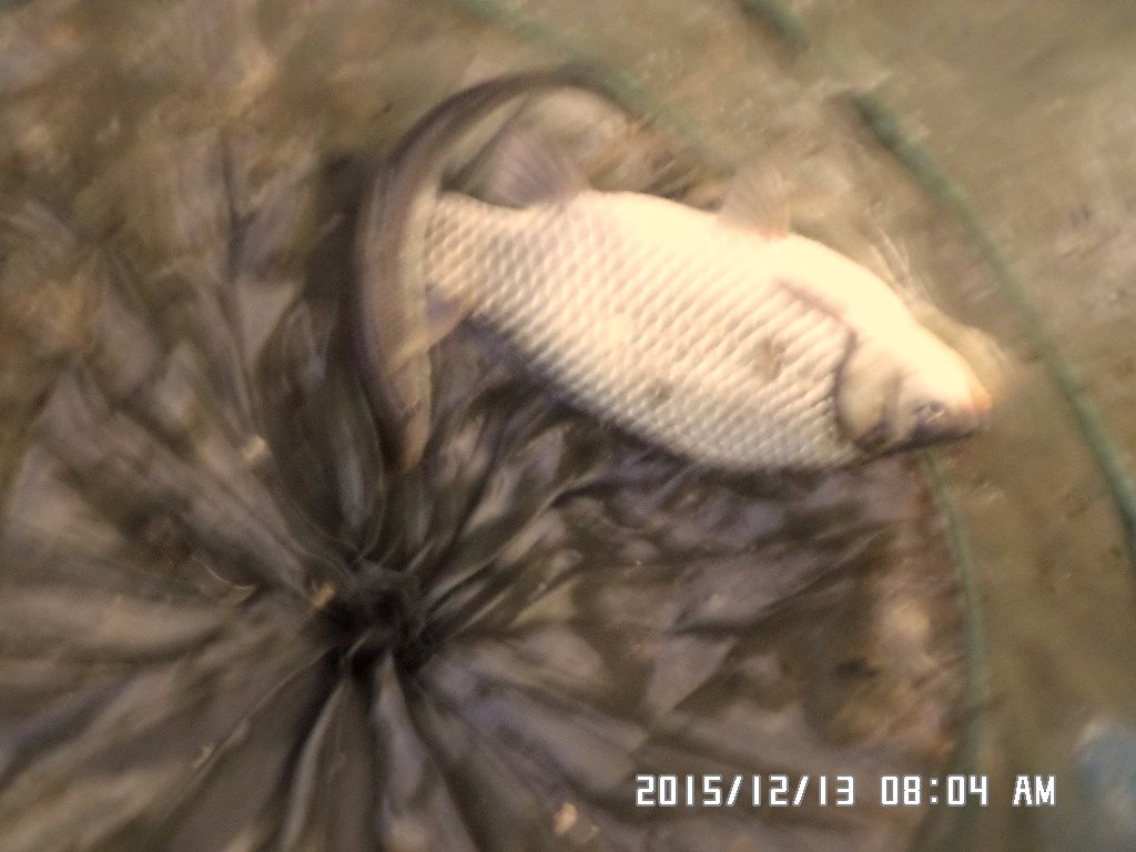 SAM_2375.JPG