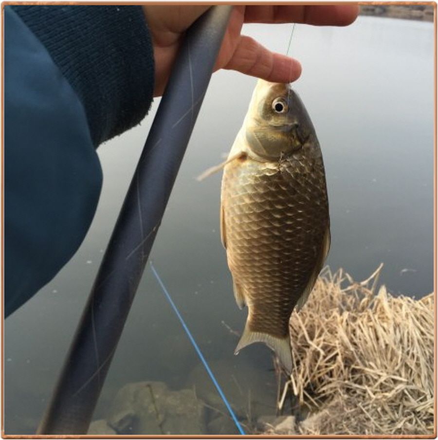 �ٹ̱�_IMG_2341.jpg