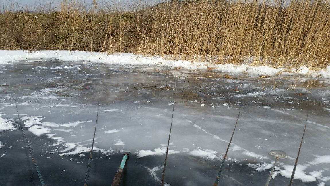 20160127_115723.jpg