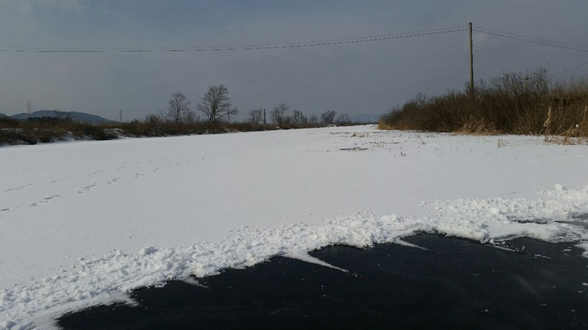 20160127_115729.jpg