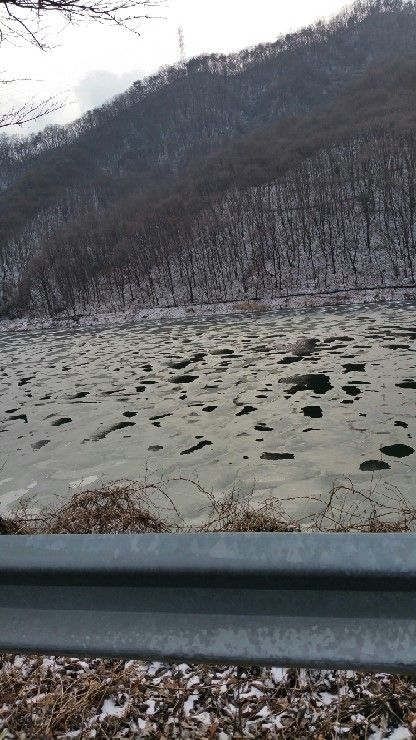 740_20160214_140529.jpg