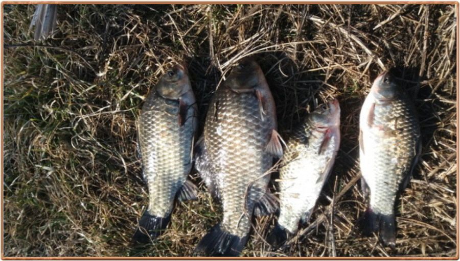 �ٹ̱�_�ٹ̱�_���� 004.jpg