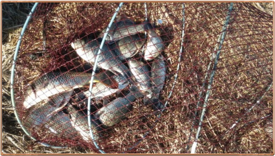 �ٹ̱�_�ٹ̱�_���� 003.jpg